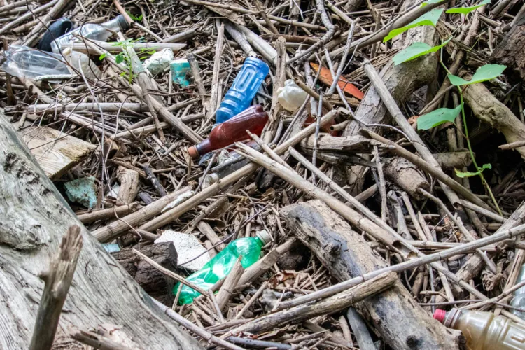 Plastics becoming a major threat in Susquehanna according to survey by experts and river users
